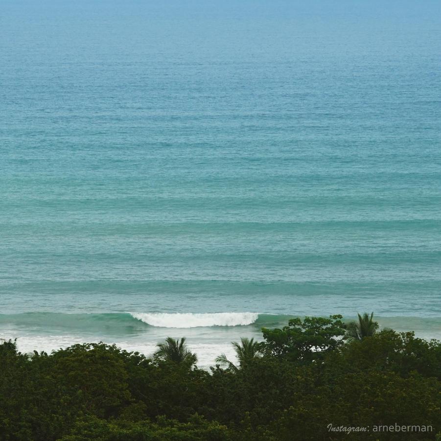 Funky Monkey Lodge Playa Santa Teresa  外观 照片