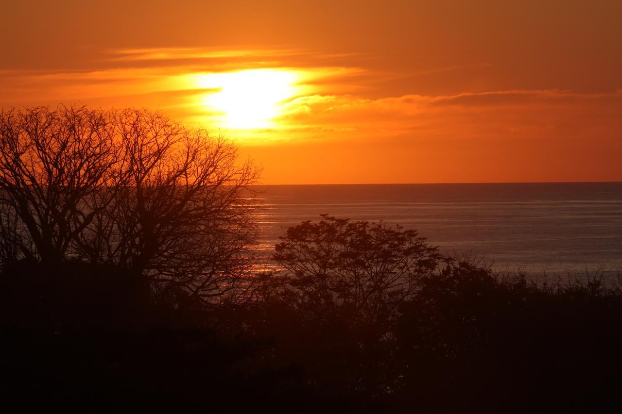 Funky Monkey Lodge Playa Santa Teresa  外观 照片