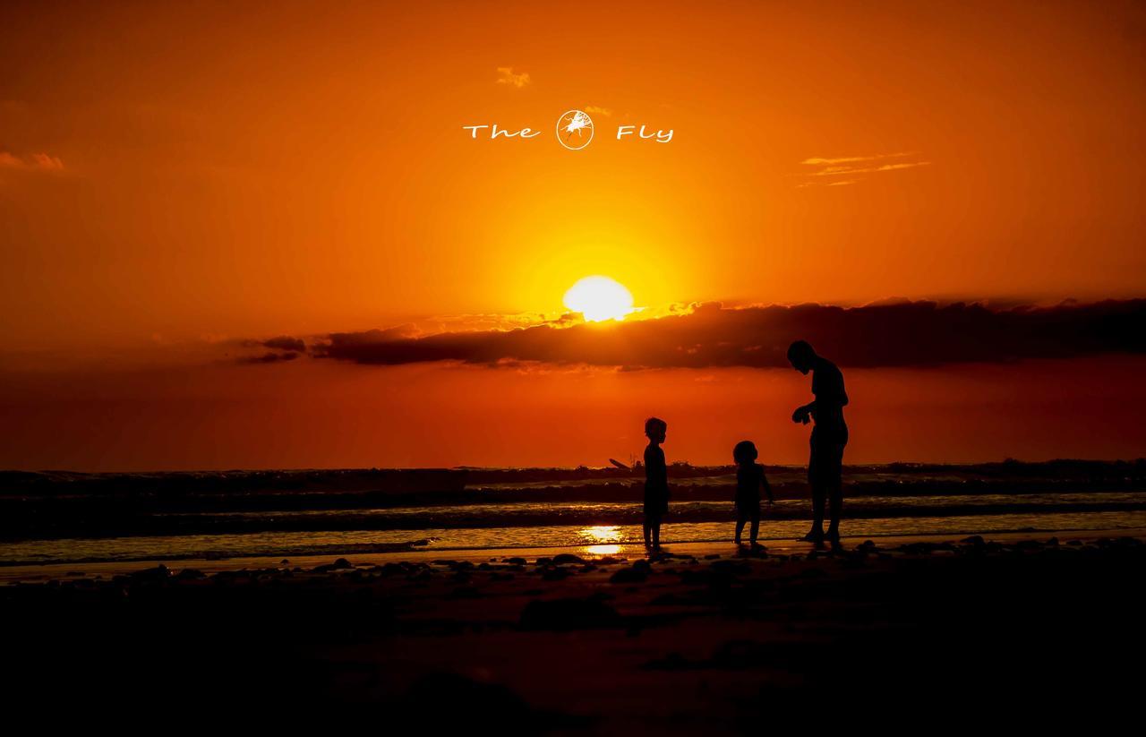 Funky Monkey Lodge Playa Santa Teresa  外观 照片