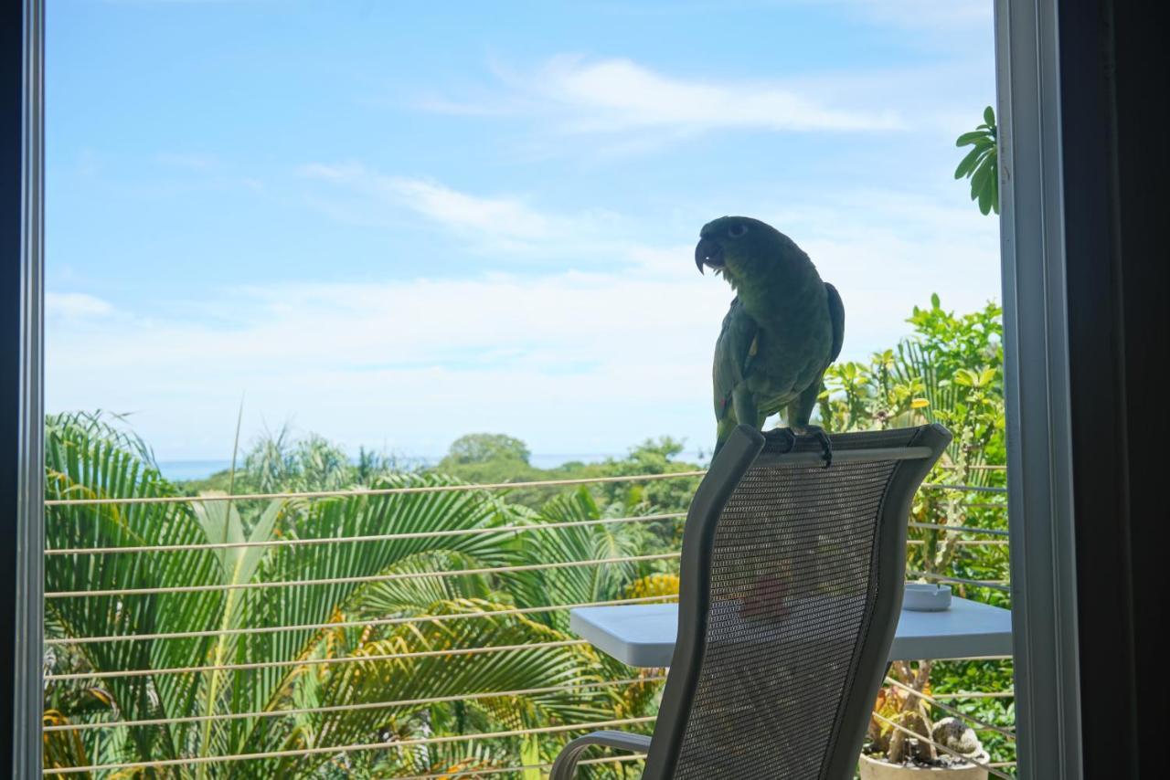 Funky Monkey Lodge Playa Santa Teresa  外观 照片