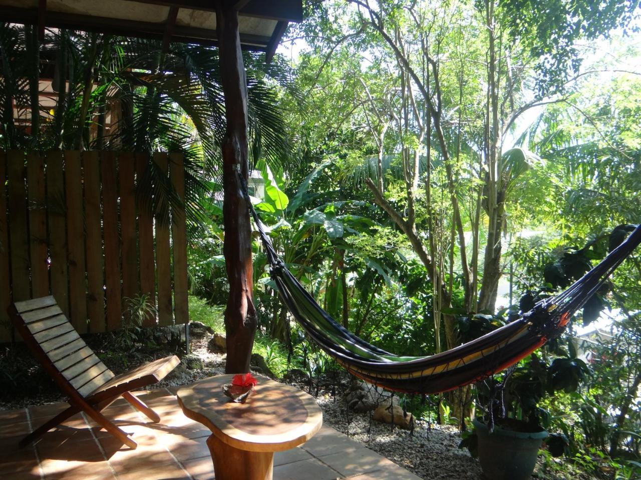 Funky Monkey Lodge Playa Santa Teresa  外观 照片