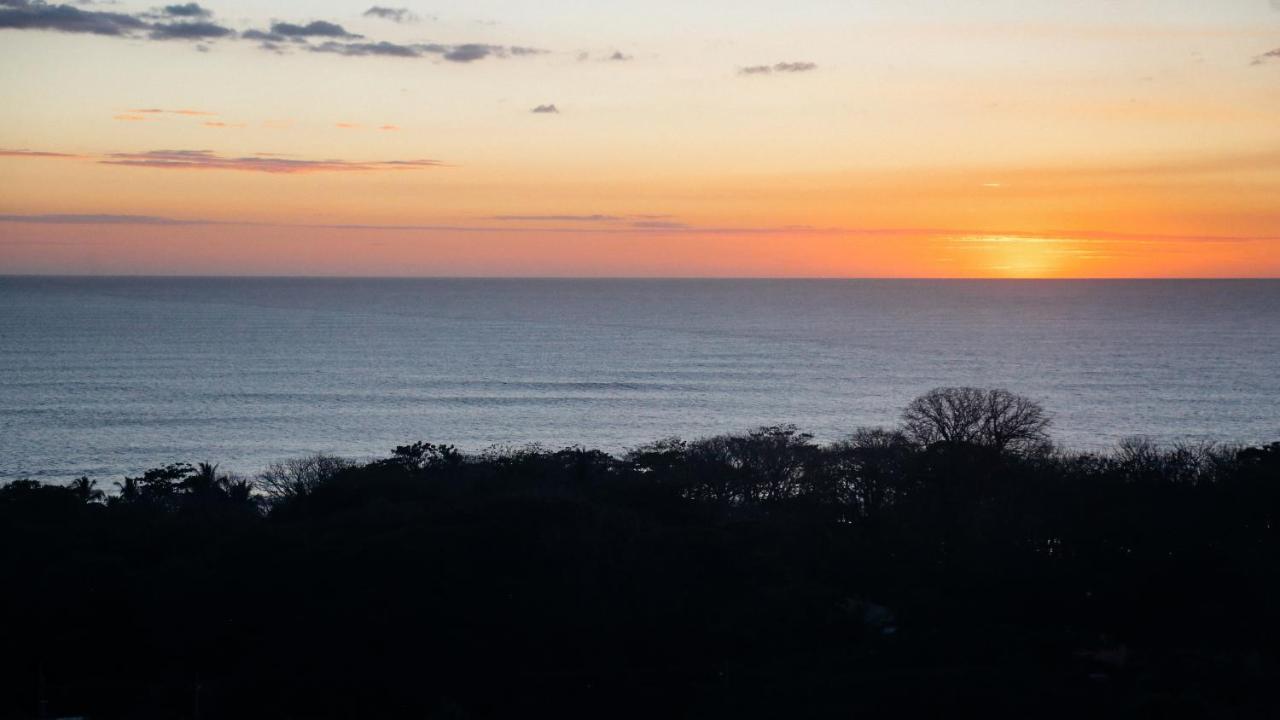 Funky Monkey Lodge Playa Santa Teresa  外观 照片
